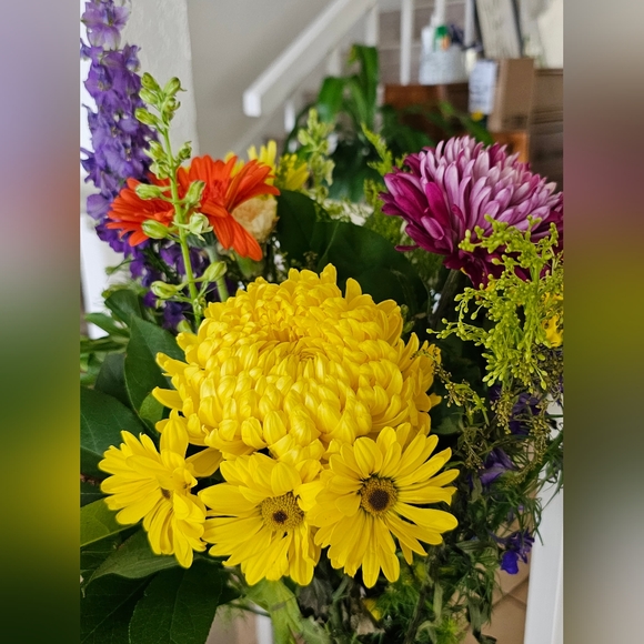 Meet your Posher, Anne grace - Picture 2 of 2